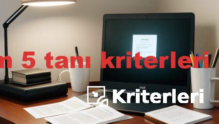 dsm 5 tanı kriterleri pdf