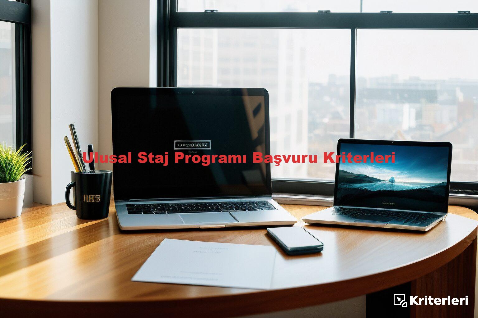 Ulusal Staj Programı Başvuru Kriterleri