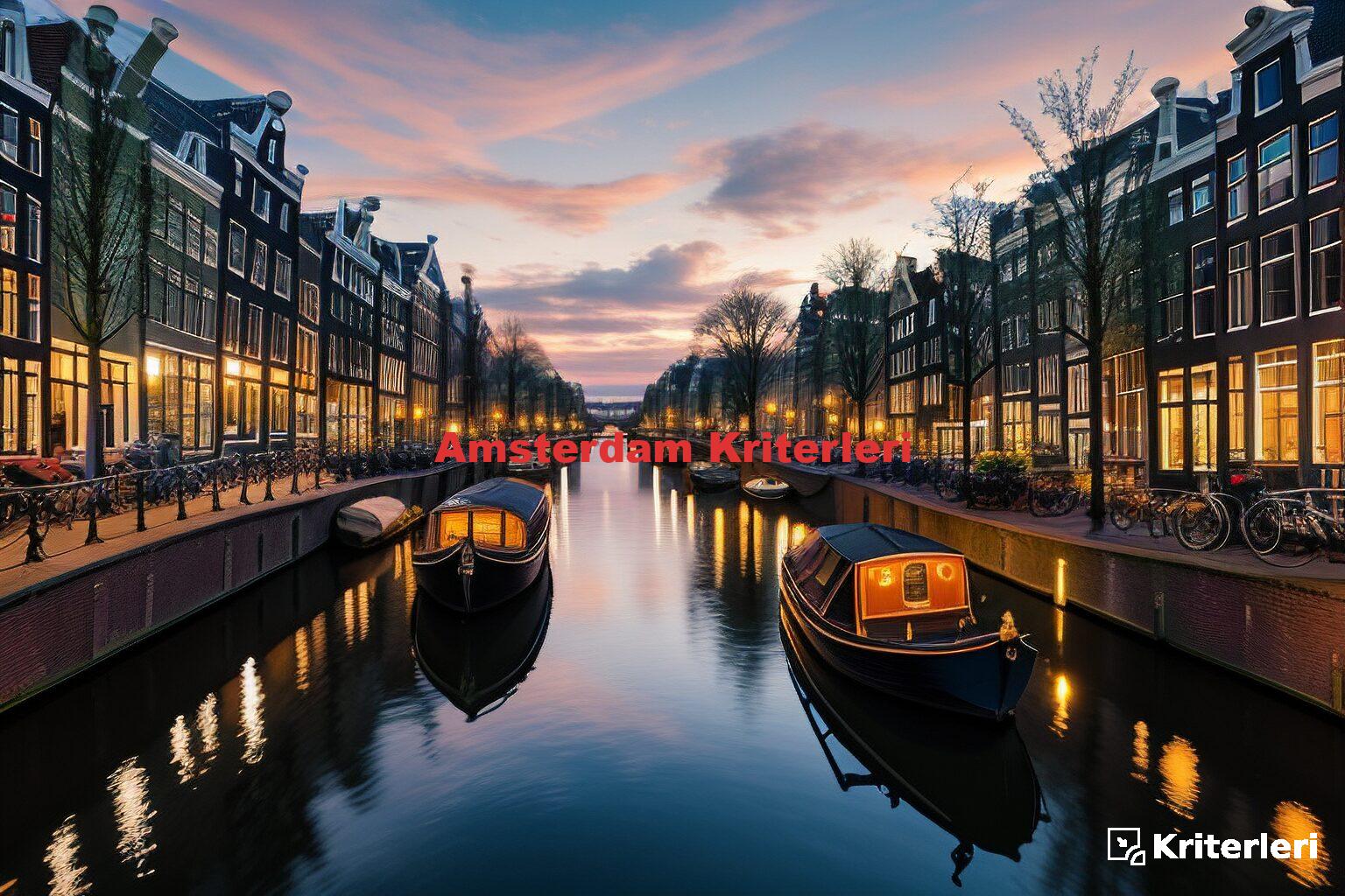 Amsterdam Kriterleri