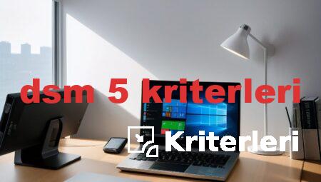 dsm 5 kriterleri