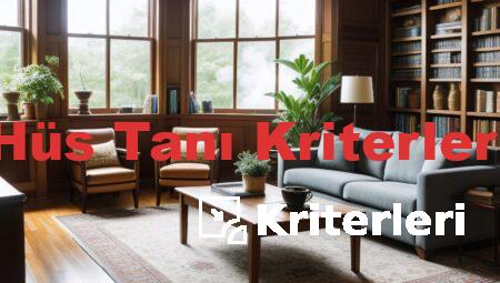 Hüs Tanı Kriterleri