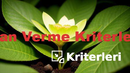 Kan Verme Kriterleri