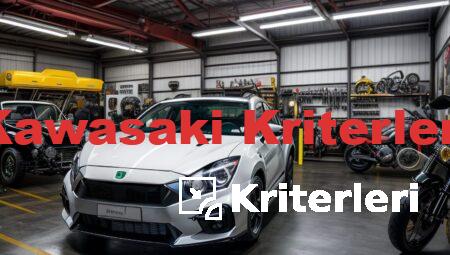 Kawasaki Kriterleri