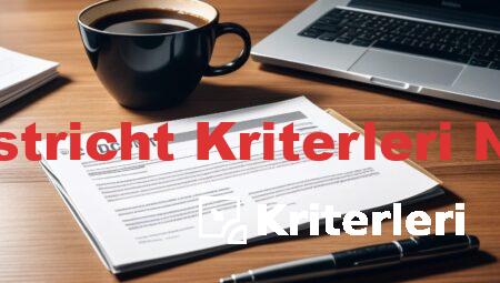 Maastricht Kriterleri Nedir
