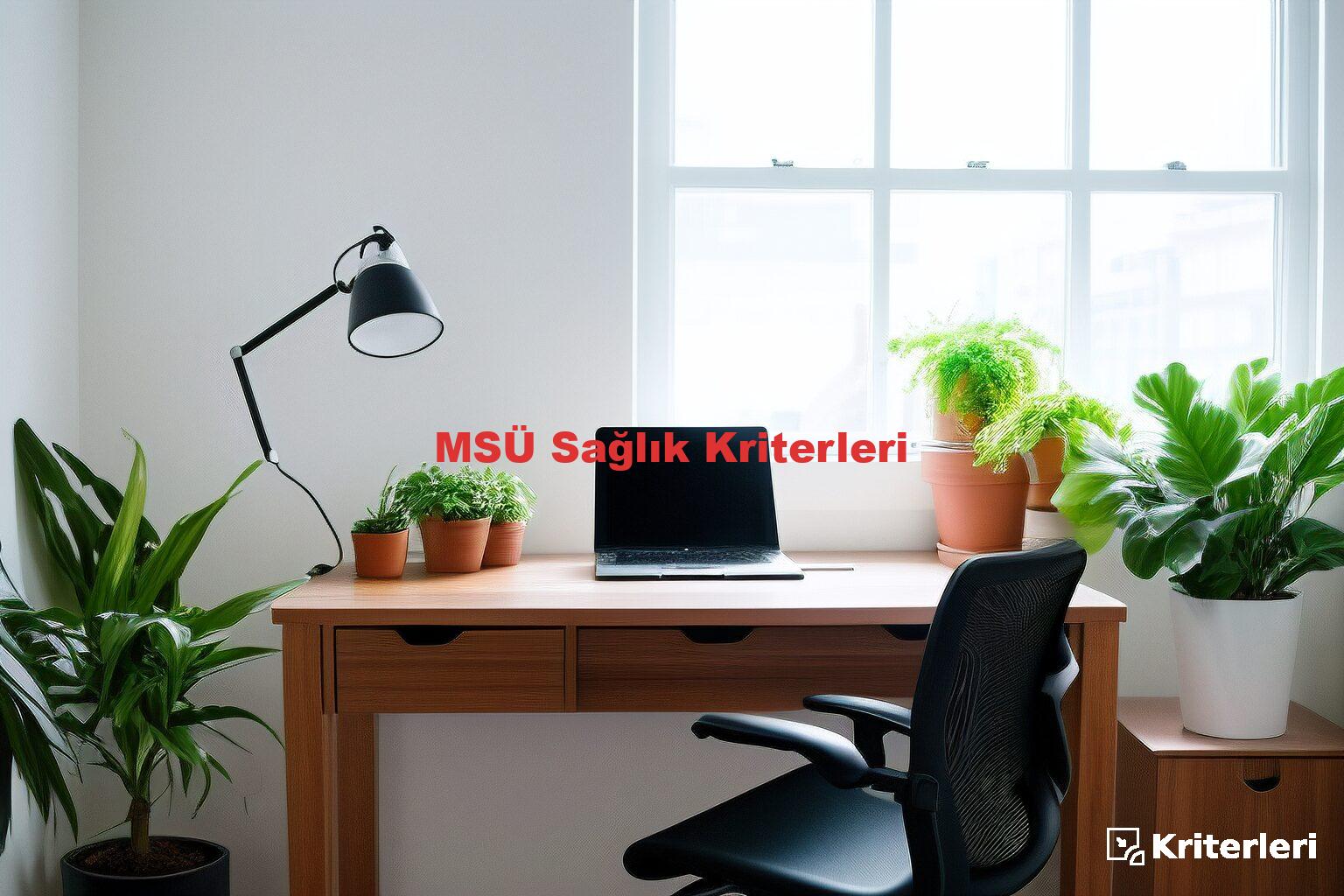 MSÜ Sağlık Kriterleri