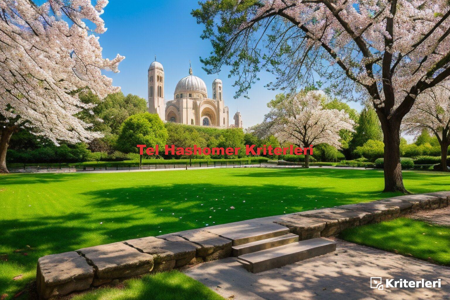 Tel Hashomer Kriterleri