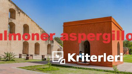  allerjik bronkopulmoner aspergillozis tanı kriterleri 