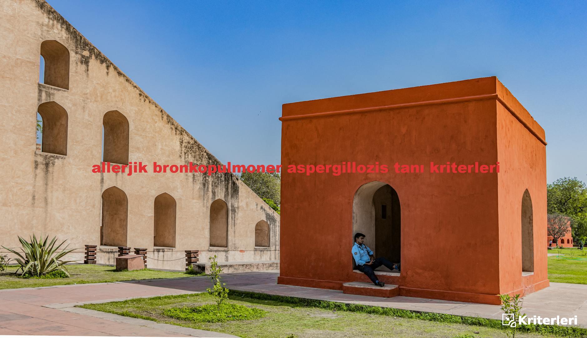 allerjik bronkopulmoner aspergillozis tanı kriterleri