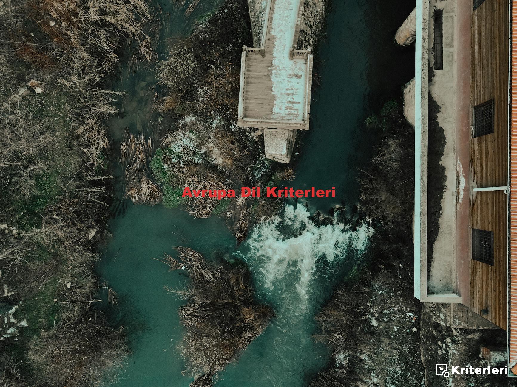 Avrupa Dil Kriterleri