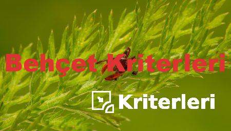 Behçet Kriterleri