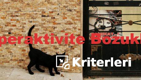 Dikkat Eksikliği Hiperaktivite Bozukluğu Tanı Kriterleri