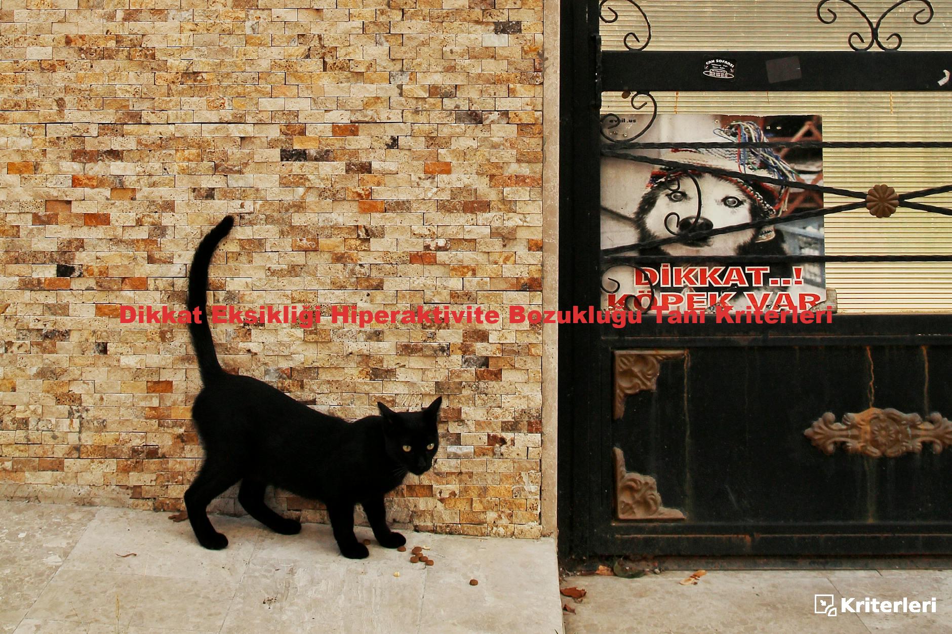 Dikkat Eksikliği Hiperaktivite Bozukluğu Tanı Kriterleri