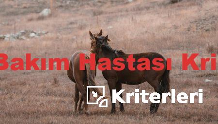 Evde Bakım Hastası Kriterleri