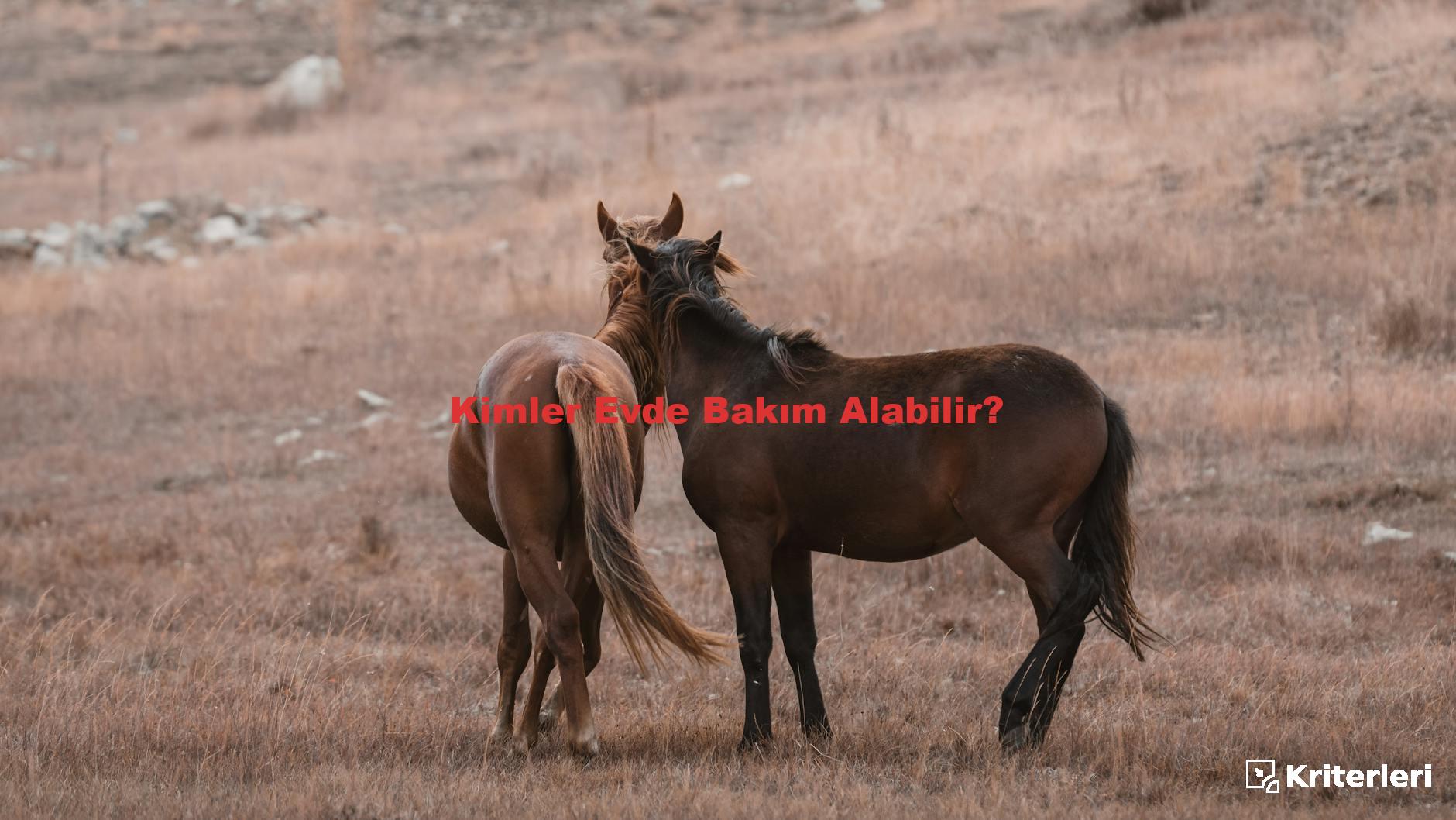 Kimler Evde Bakım Alabilir?