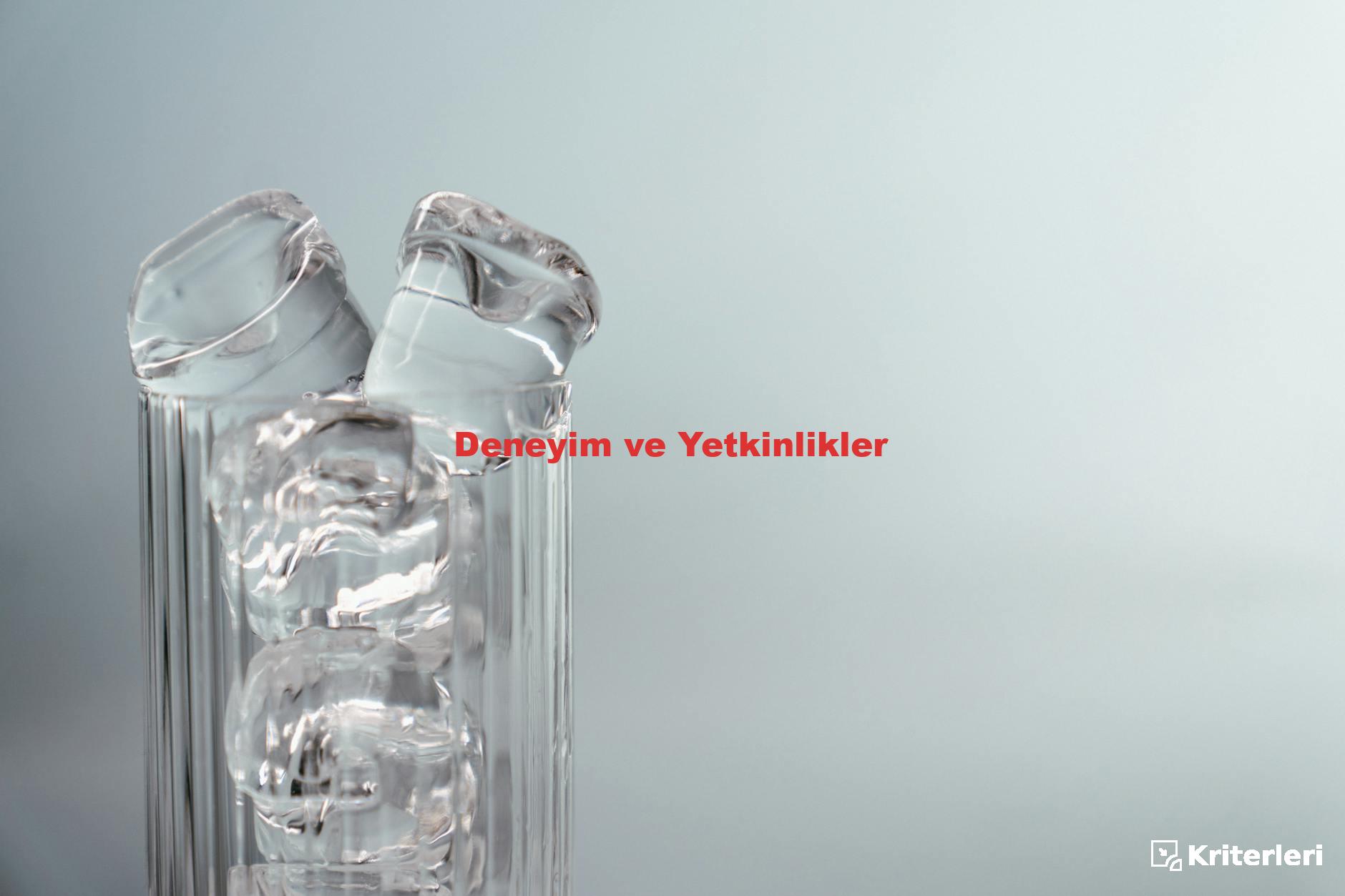 Deneyim ve Yetkinlikler