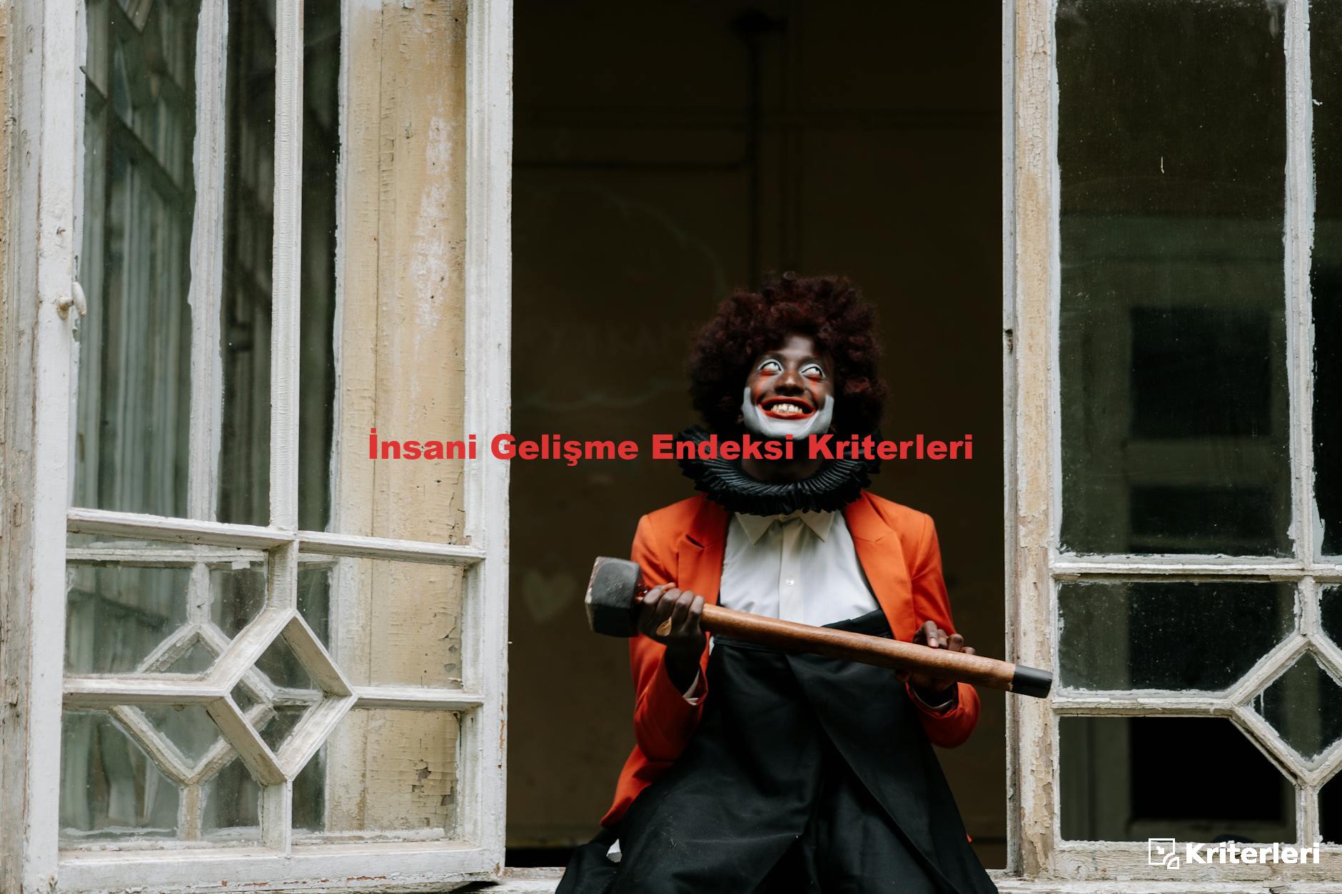 İnsani Gelişme Endeksi Kriterleri