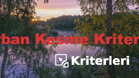 Kurban Kesme Kriterleri