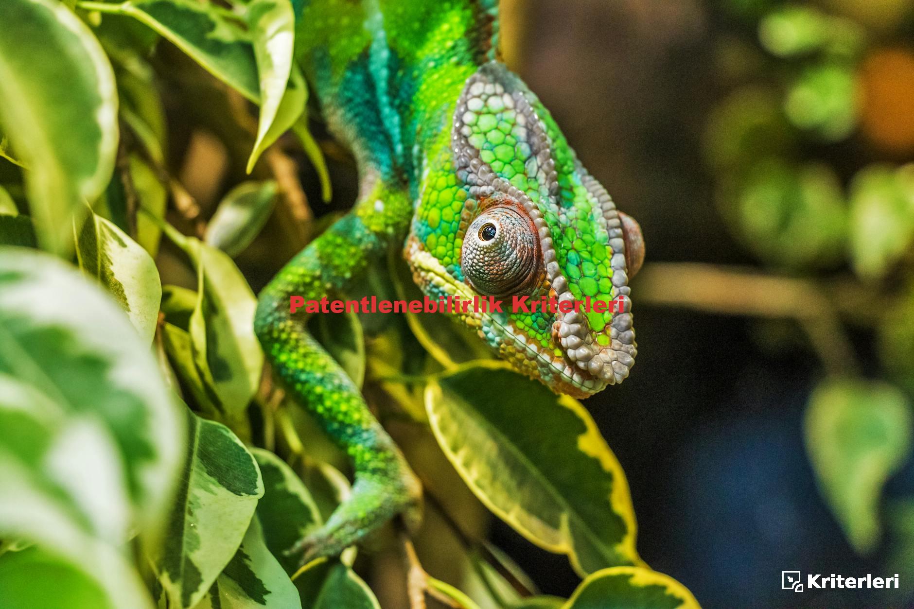 Patentlenebilirlik Kriterleri