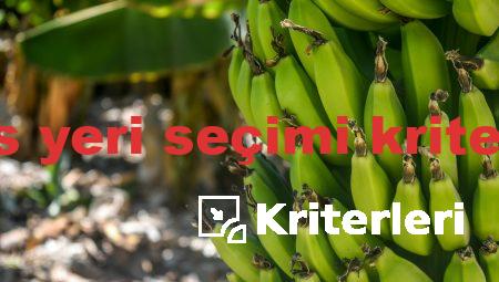 tesis yeri seçimi kriterleri