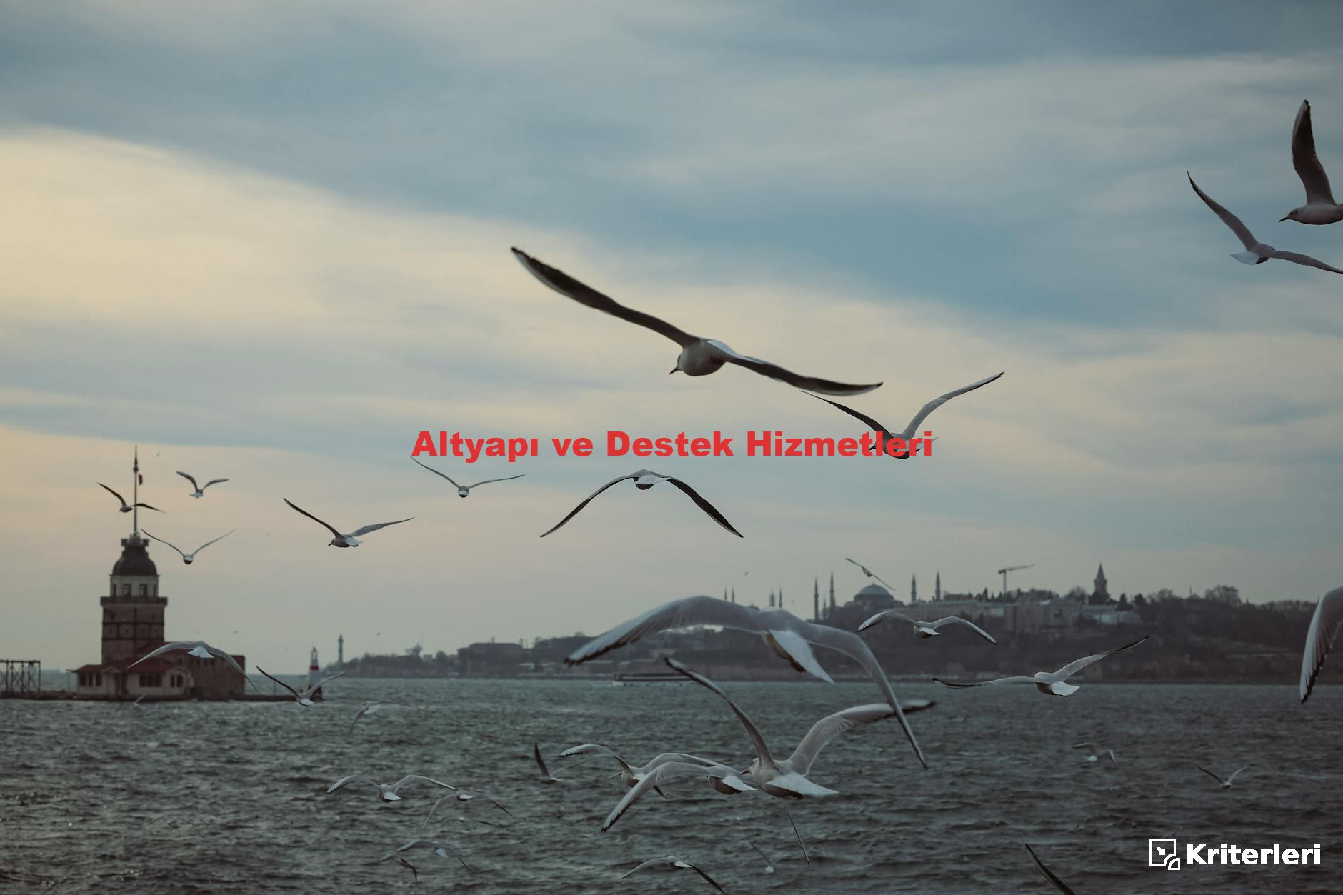 Altyapı ve Destek Hizmetleri