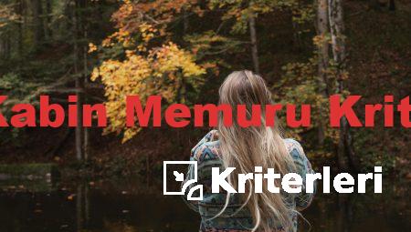 Thy Kabin Memuru Kriterleri