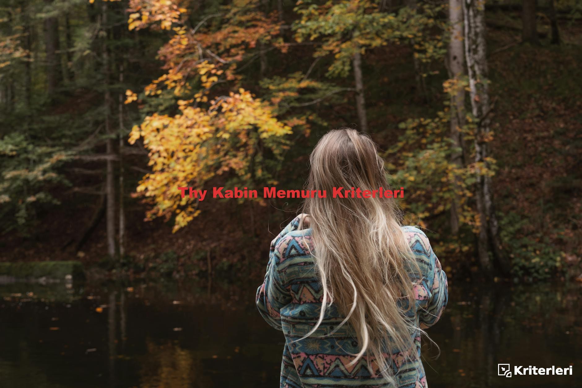 Thy Kabin Memuru Kriterleri