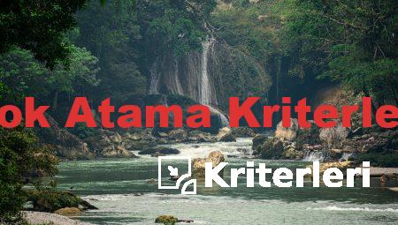 Yok Atama Kriterleri