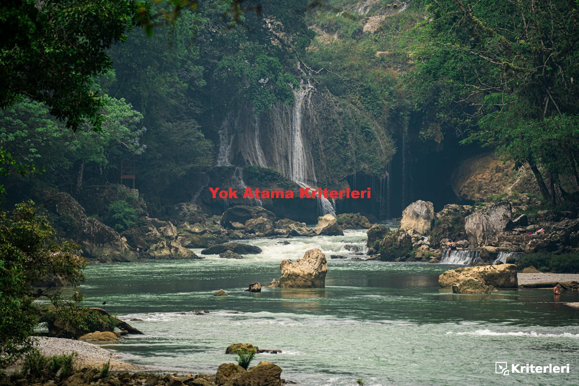 Yok Atama Kriterleri