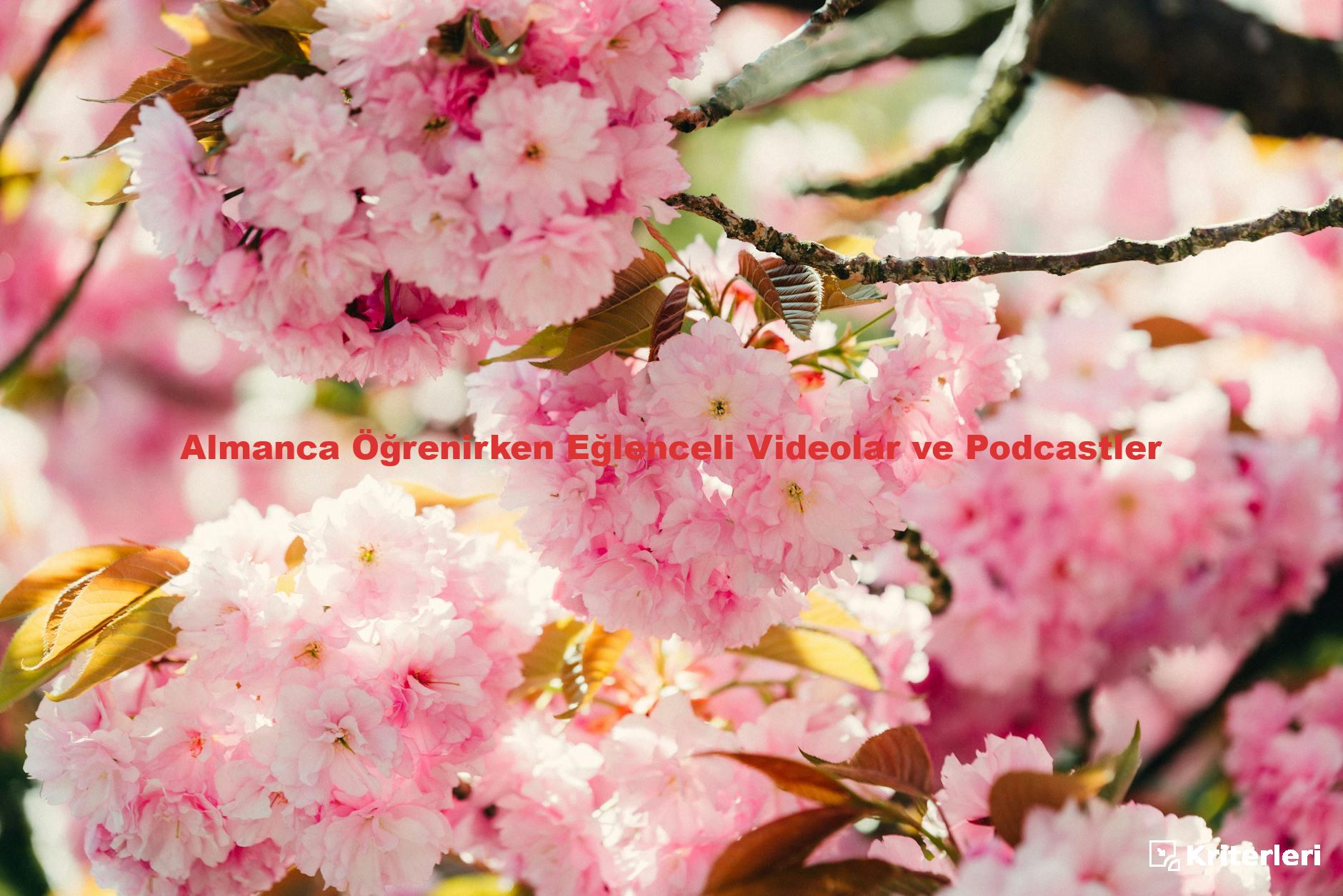 Almanca Öğrenirken Eğlenceli Videolar ve Podcastler