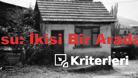 Çilek ve Tiramisu: İkisi Bir Arada Harika Bir Tat