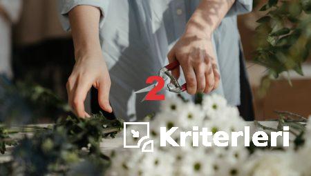 Aksaray’da Çiçek Almanın Farklı Yolları