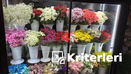 Floksia ile Her Anı Özel Kılın